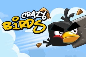 Crazy Birds Crazy Birds