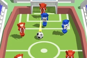 Flip Goal