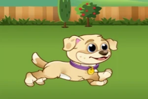 Jeux de Chien