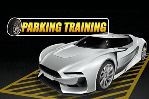 Parking Training Parking Training