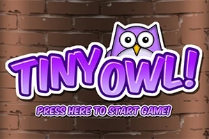 Tiny Owl!